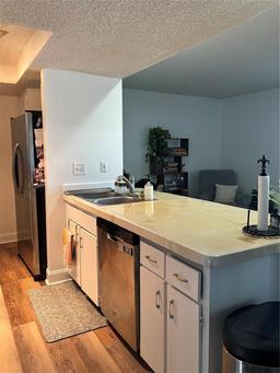 Picture of 1129 Forbes Trace, Tarpon Springs, FL 34689