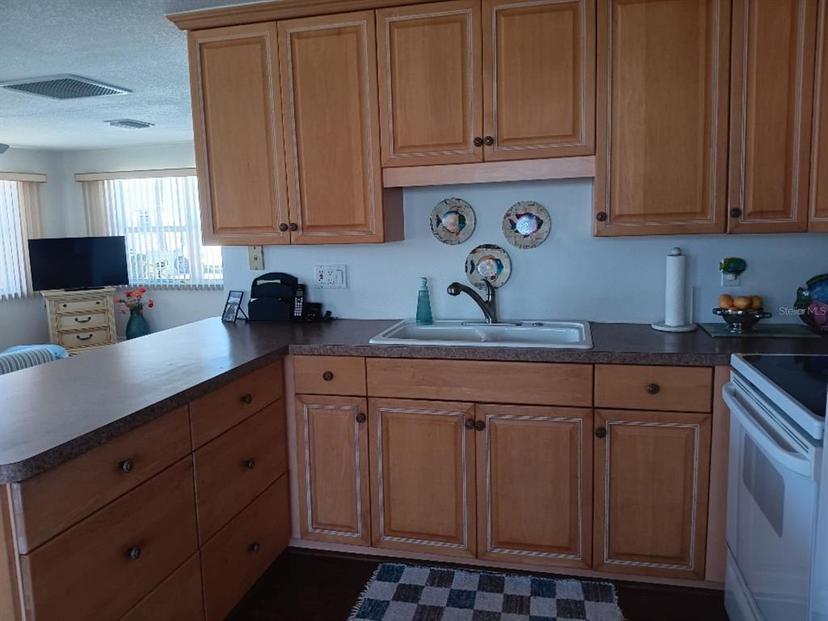 Picture of 736 Carefree, Venice FL 34285