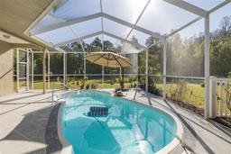 Picture of 2628 Shipston Avenue, New Port Richey, FL 34655