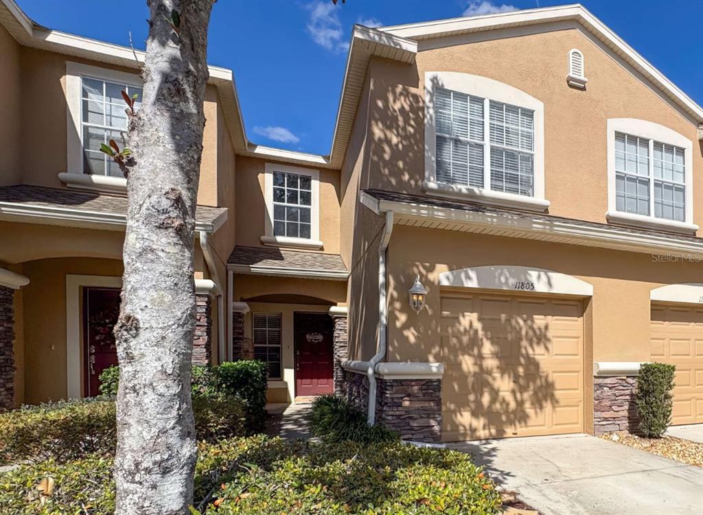 Picture of 11805 Castine Street, New Port Richey, FL 34654