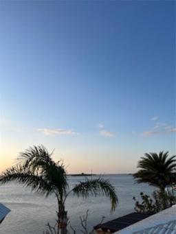 Picture of 1844 Venetian Point Drive, Clearwater, FL 33755
