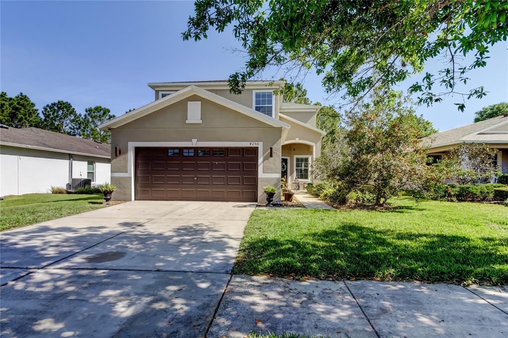 Picture of 4250 Warwick Hills Drive, Wesley Chapel, FL 33543