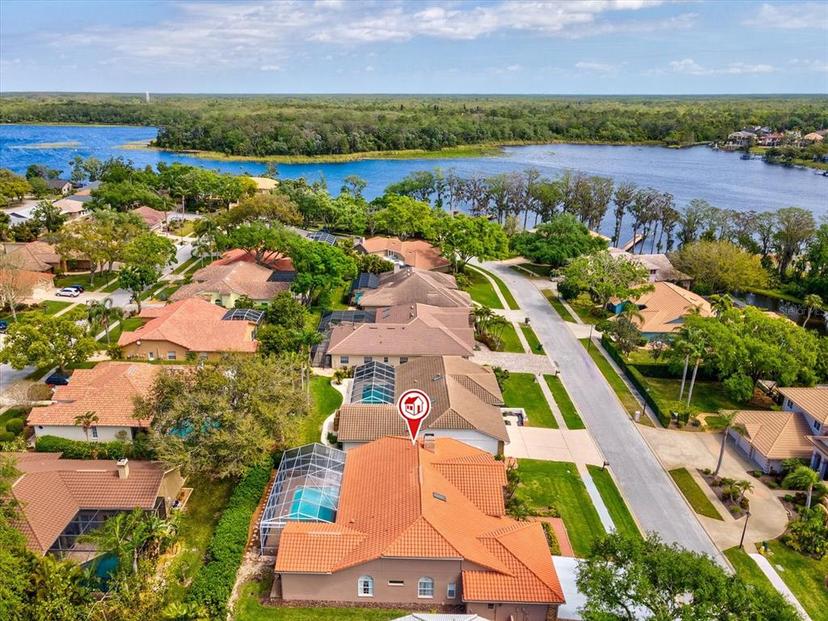 Picture of 3909 Tarian Court, Palm Harbor FL 34684