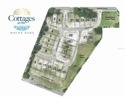 Picture of 672 James Moore Drive, Mount Dora, FL 32757