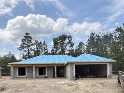 Picture of 707 W Hallam Dr, Citrus Springs, FL 34434