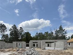 Picture of 729 W Hallam Dr, Citrus Springs, FL 34434