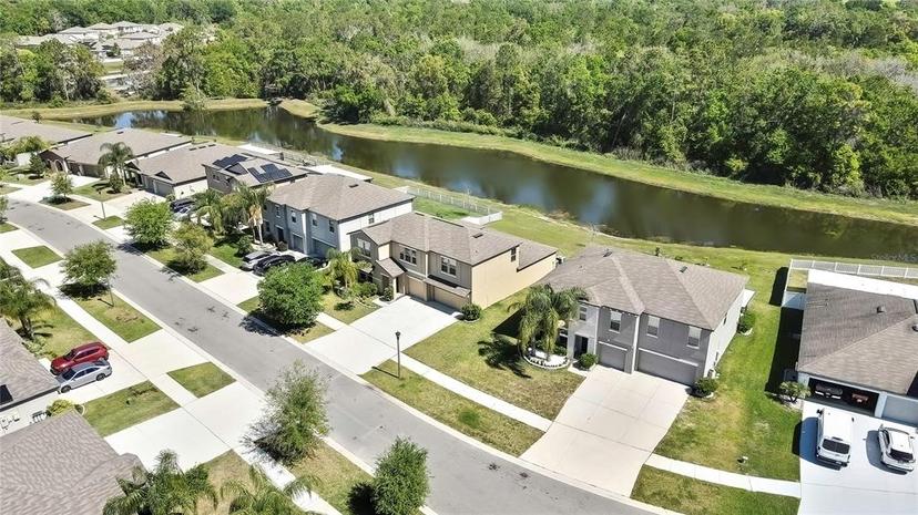Picture of 35965 Saddle Palm Way, Zephyrhills FL 33541