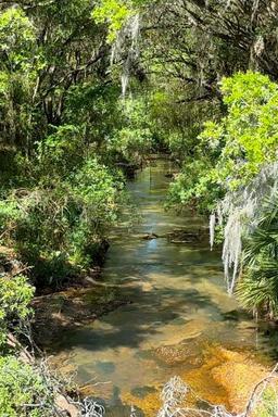 Picture of 3815 SE 25Th Street, Bushnell, FL 33513