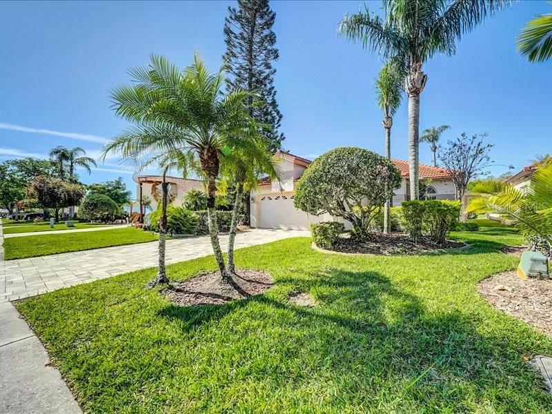 Picture of 1290 Dartford Drive, Tarpon Springs FL 34688