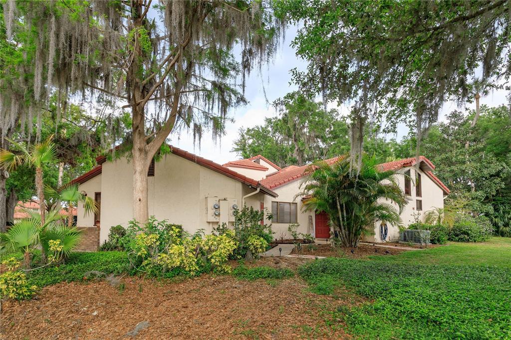 Picture of 601 Clusterwood Drive, Yalaha, FL 34797