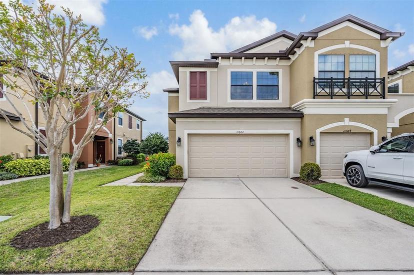 Picture of 11602 Crowned Sparrow Lane, Tampa FL 33626