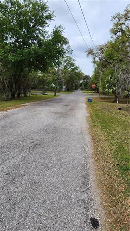 Picture of 18137 Nicholas Avenue, Brooksville, FL 34604
