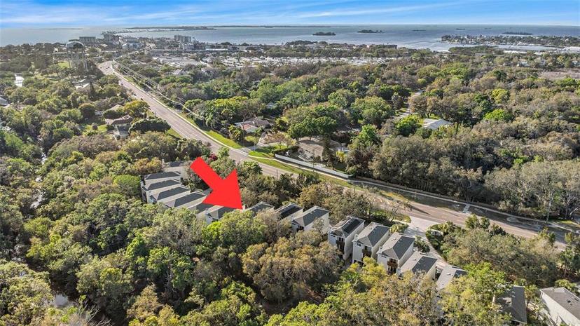 Picture of 1359 Curlew Road, Dunedin FL 34698