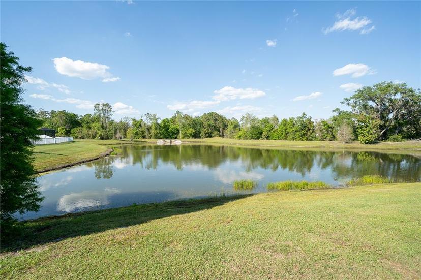 Picture of 36077 Stable Wilk Avenue, Zephyrhills FL 33541