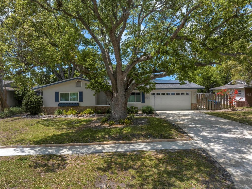 Picture of 9044 Lynwood Drive, Seminole, FL 33772