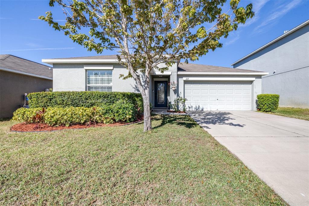 Picture of 207 Archcliffe Point Place, Dover, FL 33527