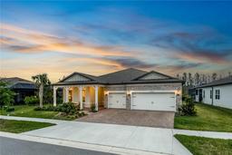 Picture of 18636 Sailors Delight Pass, Land O Lakes, FL 34638