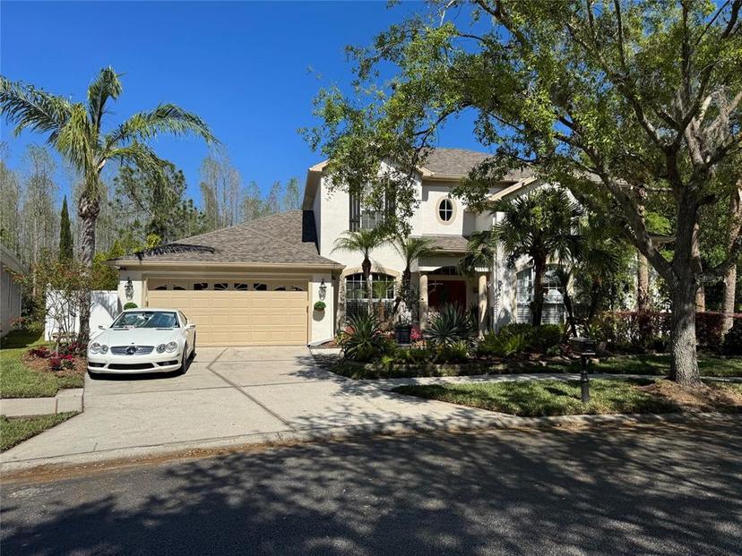 Picture of 16151 Colchester Palms Dr, Tampa FL 33647