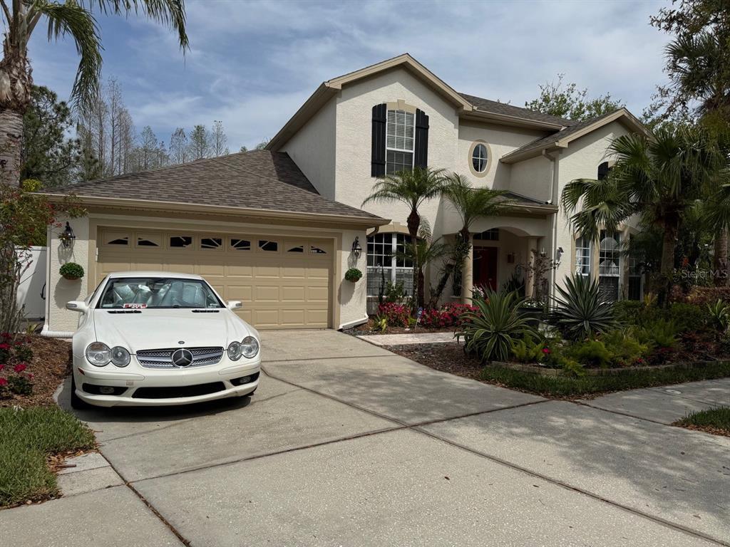Picture of 16151 Colchester Palms Dr, Tampa, FL 33647