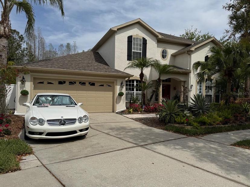 Picture of 16151 Colchester Palms Dr, Tampa FL 33647