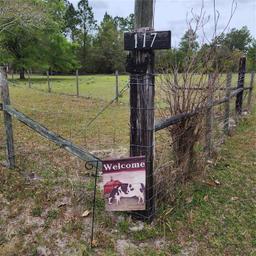 Picture of 117 Suwanee Hunting Club Road, Palatka, FL 32177