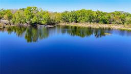 Picture of 2259 Fletchers Point Circle, Tampa, FL 33613
