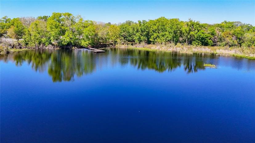 Picture of 2259 Fletchers Point Circle, Tampa FL 33613