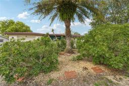 Picture of 11705 Ibis Lane, Port Richey, FL 34668