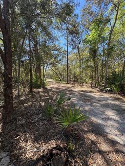 Picture of 5543 W Nobis Circle, Homosassa, FL 34448