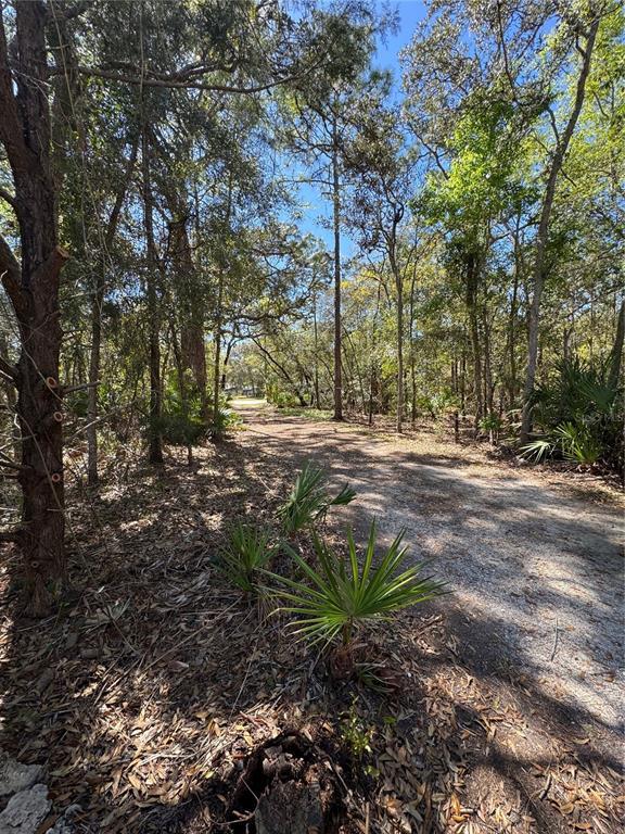 Picture of 5543 W Nobis Circle, Homosassa FL 34448