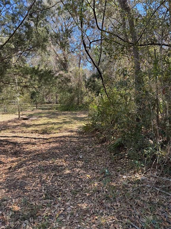Picture of 5543 W Nobis Circle, Homosassa FL 34448