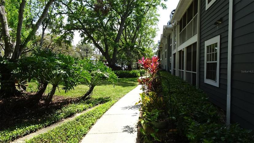 Picture of 2101 Fox Chase Boulevard Unit 102, Palm Harbor FL 34683