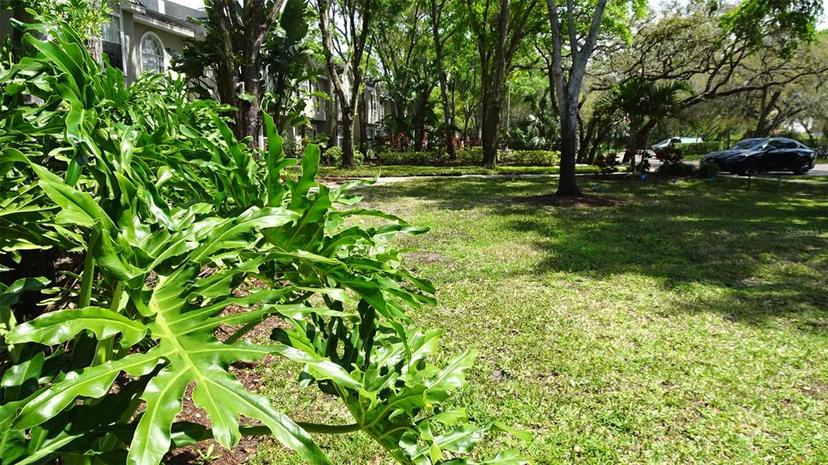 Picture of 2101 Fox Chase Boulevard Unit 102, Palm Harbor FL 34683