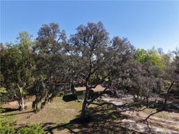 Picture of 1321 E Amberjack Drive, Hernando, FL 34442