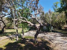 Picture of 1321 E Amberjack Drive, Hernando, FL 34442