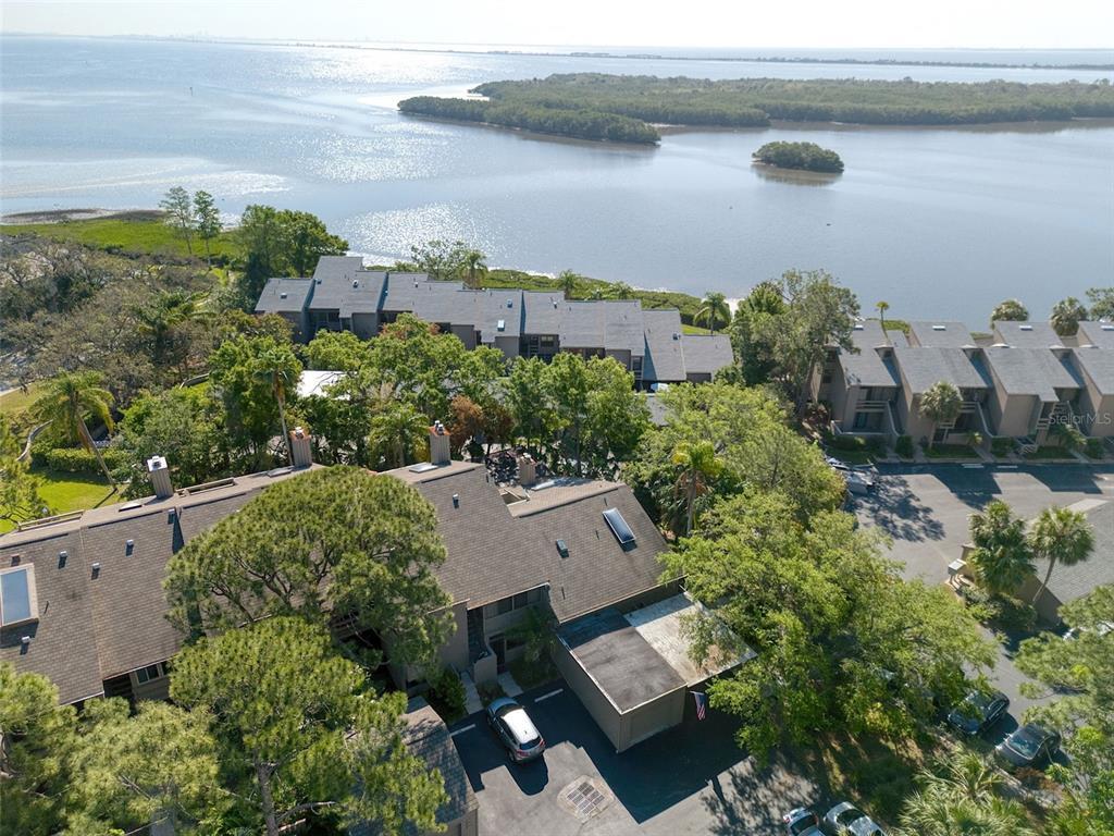 Picture of 1111 N Bayshore Boulevard Unit E3, Clearwater, FL 33759