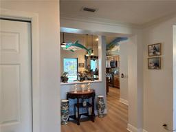 Picture of 6319 Cocoa Lane, Apollo Beach, FL 33572