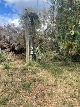 Picture of 291 SE 81St Street, Ocala, FL 34480