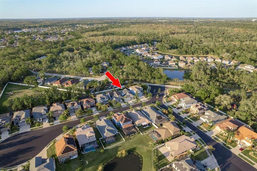 Picture of 11305 Lazy Hickory Lane, Tampa FL 33635