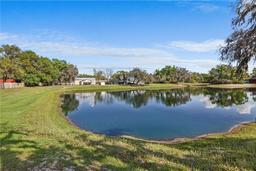 Picture of 8403 Southwood Pines Street, Lithia, FL 33547