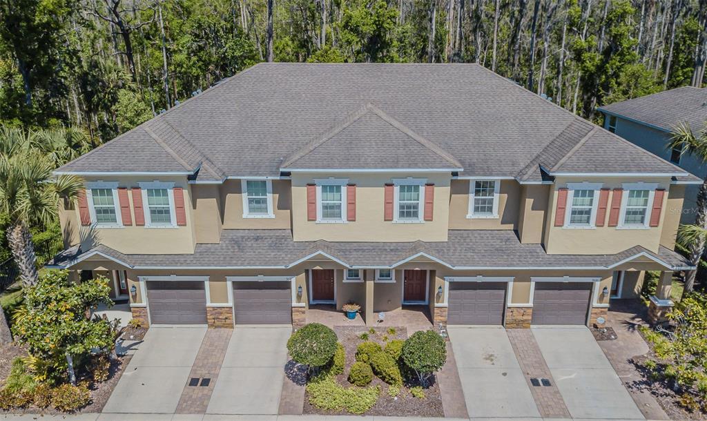 Picture of 906 Vineyard Lane, Oldsmar, FL 34677