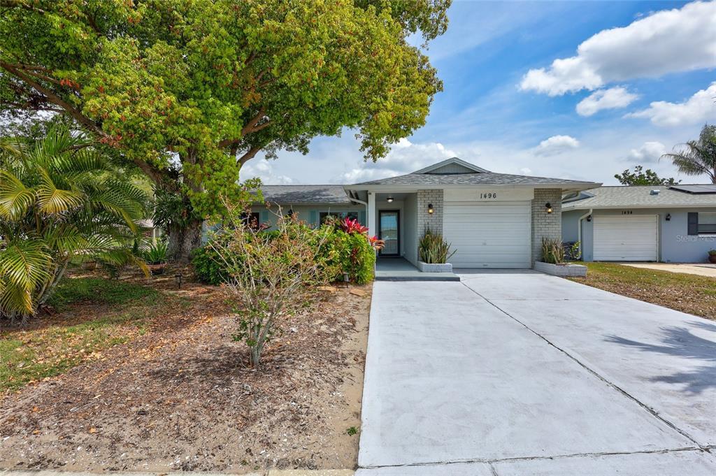 Picture of 1496 Queen Anne Drive, Palm Harbor, FL 34684