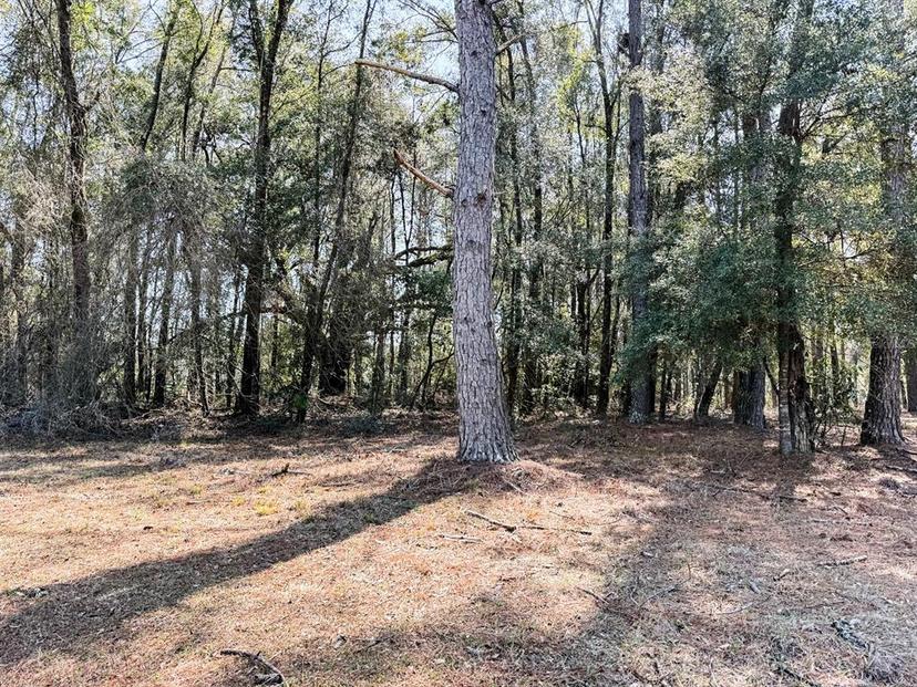 Picture of 000 Hermitage Glen, High Springs FL 32643