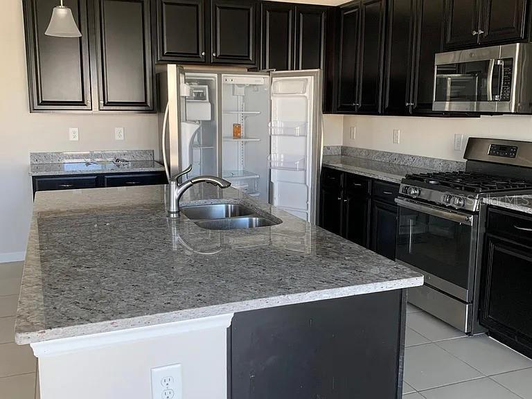 Picture of 11624 Fringetree Court, Riverview FL 33579