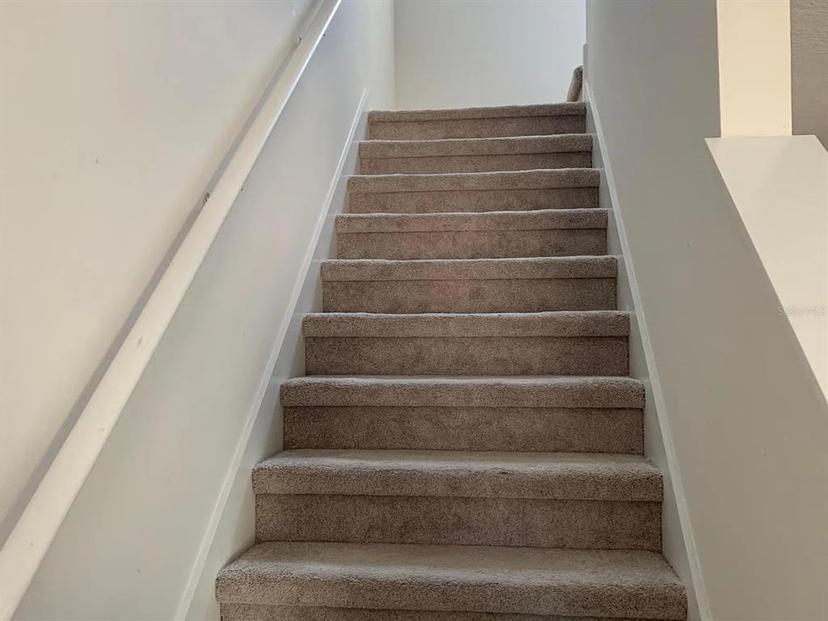 Picture of 11624 Fringetree Court, Riverview FL 33579