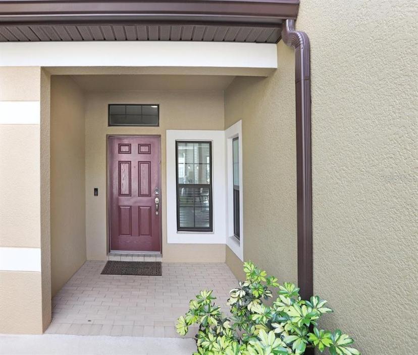Picture of 11521 Crowned Sparrow Lane, Tampa FL 33626