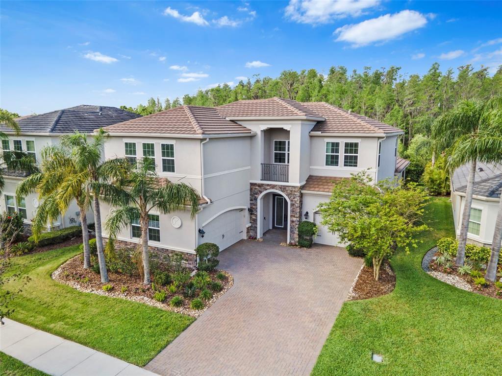 Picture of 30900 Spruceberry Court, Wesley Chapel, FL 33543