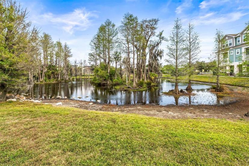 Picture of 9533 Cavendish Drive, Tampa FL 33626