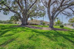 Picture of 1129 Haley Lane, Dunedin, FL 34698