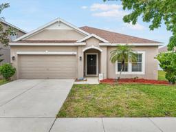 Picture of 810 Fern Leaf Drive, Ruskin, FL 33570